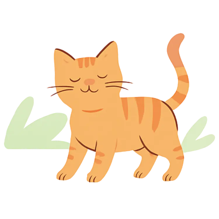 Rode kat