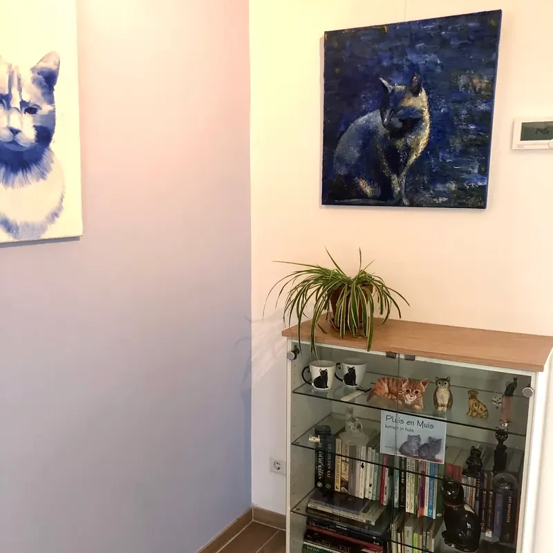 Trimsalon VoordeKat